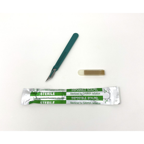 Disposable Scalpels Sterile Surgical Blade Size 10A Stainless Steel with Plastic Handle & Metric Line Individually Foil Wrapped Box of 10