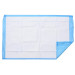 Disposable Underpads 34”x22” Incontinence Bed Covers Pads Pet Training Ultra Thick Super Absorbent & Waterproof Protection for Kids Infants Adults Elderly Baby Case of 200